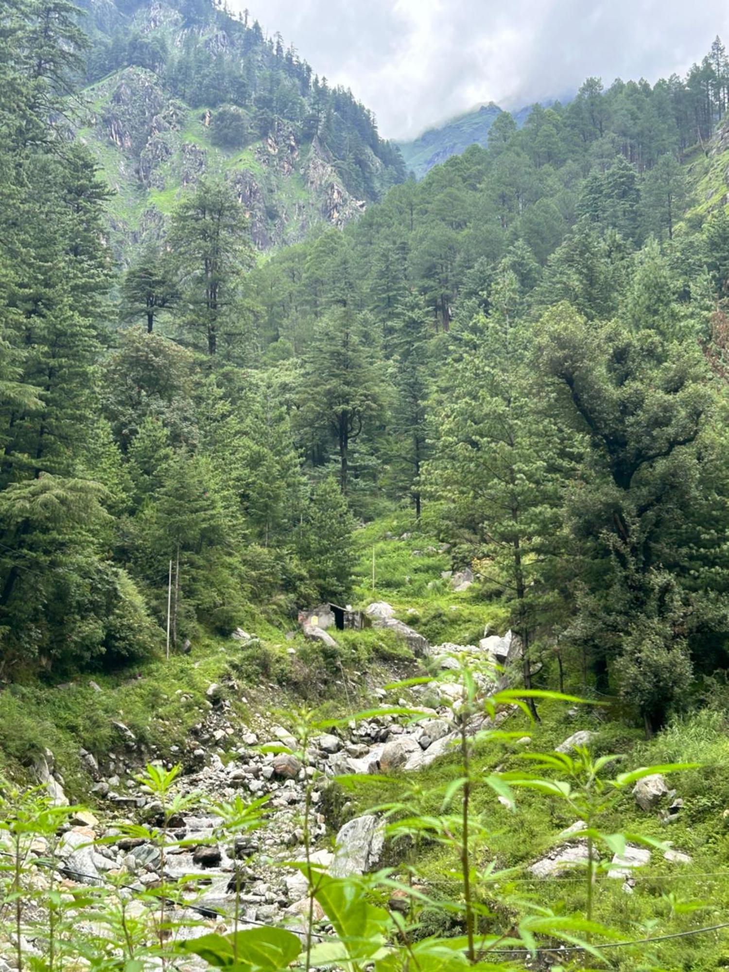 Formosa Hostel & Cafe Kasol Kültér fotó